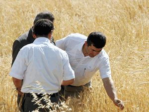 Beyşehir'de dolu ve sel hasar tespitleri yapılıyor