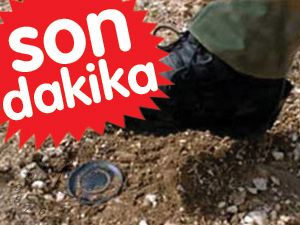Şehit sayısı 10, yaralı 16'ya yükseldi