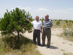 Düğün bahşişlerinden hatıra ormanı oluşturdu
