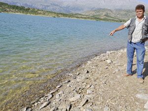 Taraşçı Barajı'nda da toplu balık ölümleri görüldü