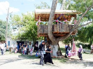 Asırlık kavak ağacında nikah