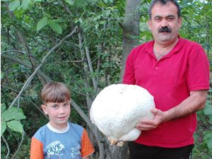 Piknikte 6,5 kilo ağırlığında mantar buldu