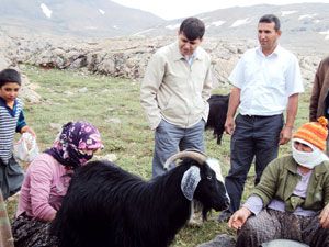 Halkapınar Kaymakamı yörük obasını gezdi