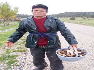 Yaz pikniğinde mantar toplama keyfi
