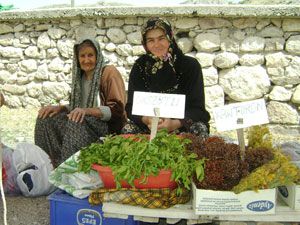 Turistlere dağlardan topladıklarını satıyorlar