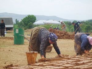 Sonsuz Şükran Köyü’nde ilk yerleşim 10 Temmuz’da