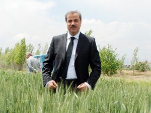 Rekolte düştü, kalite arttı