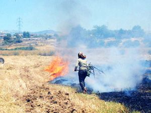 Anız yangını ormana sıçramadan söndürüldü