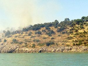 Beyşehir Gölü Adası'nda yangın