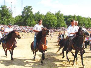 Rahvan atları Göl Festivali’nde yarışacak