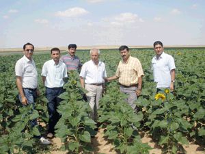 Sarayönü’nde sulu tarım yaygınlaşıyor