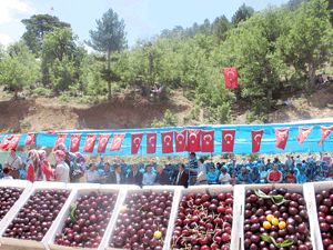 Yalınçevreliler şenlikte bir araya geldi