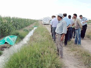 Tarım işçisi mısır tarlasında ölü bulundu
