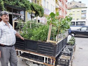Aracının kasasını sebze bahçesi yaptı