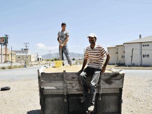 Çiftçi, buğdaydan umduğunu bulamadı