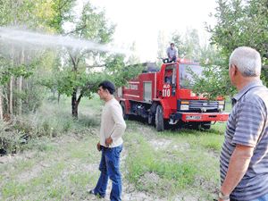 20 dönüm bahçe yangında kül oldu