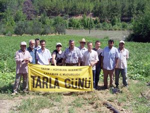 Sağlıklı olması sebze tüketimini arttırdı