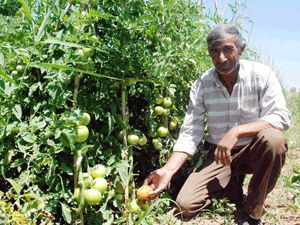 İsrail’den kurtulalım