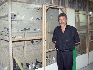 Kuş beslerken çevreyi rahatsız etmemeli