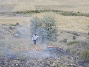 Seydişehir’de buğday ekili alan yandı
