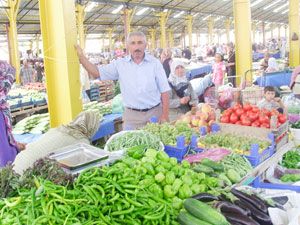 Seydişehir sebzede de gelişme kaydetti