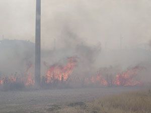 Kulu’da ot yangını korkuttu