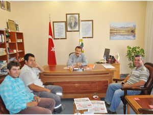Elektrik kesintilerinin nedeni ağaç dalları