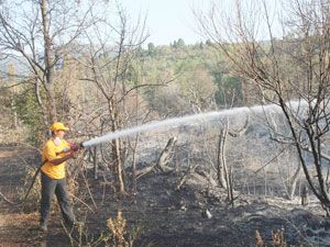 Beyşehir’deki yangın 5 saatte söndürülebildi