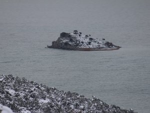 Anadoluda yaşam olan tek ada "Mada"