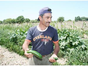 Beyşehir Gölü'nün Çeçen Adası'nda tek başına yaşam