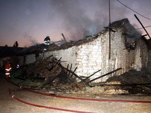 Çardak yangınında 3 büyükbaş hayvan telef oldu