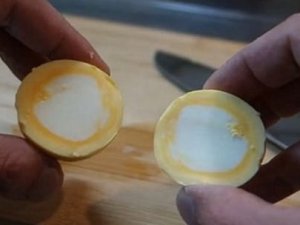 Yumurtanın sarısıyla beyazı nasıl yer değiştirir?