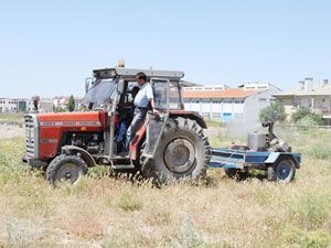 Beyşehir'de uçkunla mücadele sürüyor