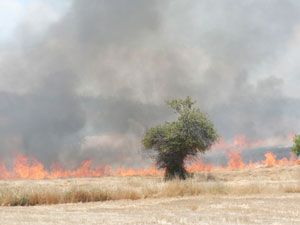 Toprağımız ateş altında