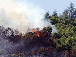 Orman yangını kontrol altına alınamadı