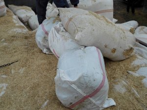 Saman yüklü kamyondan 60 kilo esrar çıktı