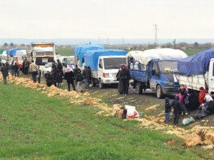 Türkiye'ye sığınan binlerce kişi Kobani'ye dönüyor