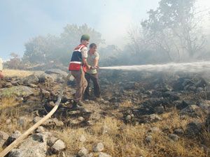 Orman yangınında 10 hektarlık alan zarar gördü