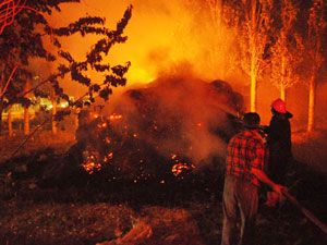 Halkapınar'da 25 ton saman yanarak kül oldu