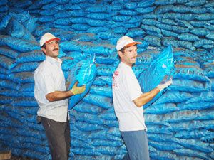 Kömür almanın şimdi tam zamanı