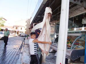 Balıkçı tezgahında köpekbalığı