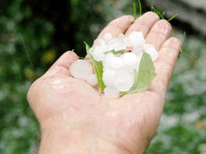 Dolu yağışı zor durumda bıraktı