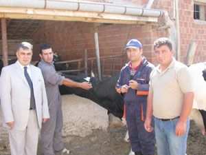 Ereğli'de şap aşı kampanyası başladı
