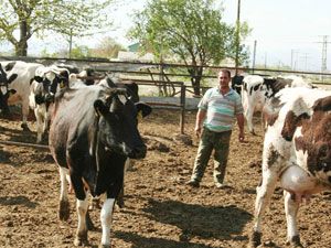Seydişehir'de sonbahar aşılama kampanyası