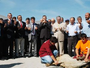 Patates alımı başladı