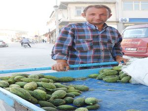 Hırtlaklar yurt dışına ihraç ediliyor