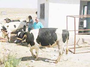 Akarköy’de tarımsal kalkınma atağı