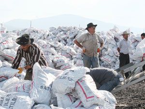 Beyşehir'de kömür yardımı