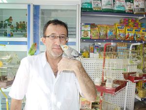 Evcil hayvanlar rahatlatıyor