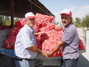 Erozyon sahasında patates yetişti
